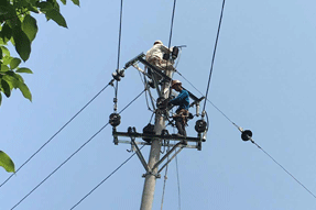 農村架空線路經過私人宅基有權砍個人的樹木嗎