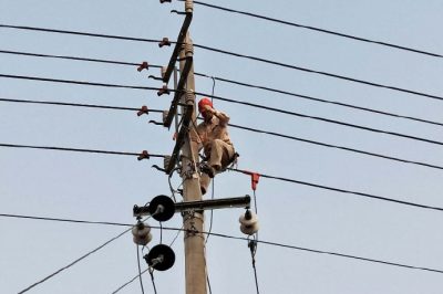金湖縣供電公司組織人員改造電網