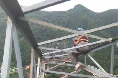 330千伏線路安裝防鳥(niǎo)刺，消除線路鳥(niǎo)害隱患