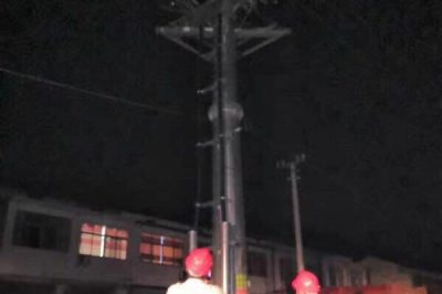 10kⅤ線路柱上開關、變壓器樁頭、高壓線路導線搭頭處等進行紅外測溫