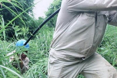 南川區(qū)供電公司緊急搶修被雷擊斷落在路上的10千伏鋒秧線8-10號桿A、C相