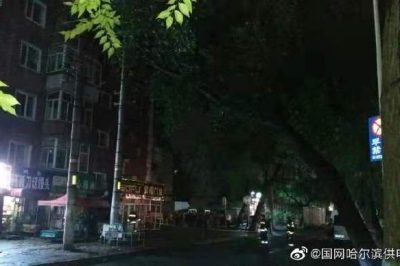 大樹(shù)傾倒導(dǎo)致10千伏元合線(xiàn)苗圃線(xiàn)停運(yùn)并伴有電火現(xiàn)象