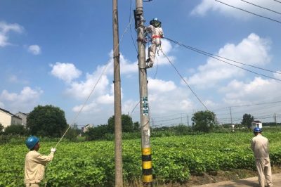 吳江區供電公司在新營1號變拆除存在安全隱患的廢舊線路