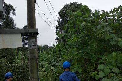 天府新區供電公司冒雨對線路通道進行清理