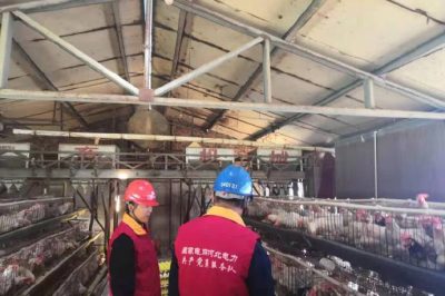 新河縣供電公司加強養殖用戶用電安全管理