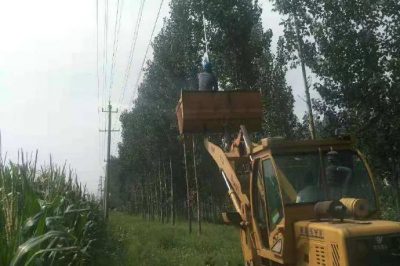 龍華村5621線路區20支線開展樹障清理