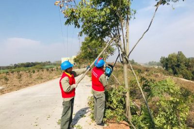 10kV段集線線路通道內樹障進行清理