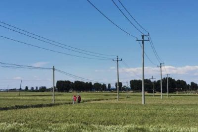 為正在夏收的農民朋友開展電力設施保護宣傳