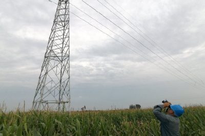 運維檢修部輸電運維人員對服務區供電線路設備雨后踩泥巡視