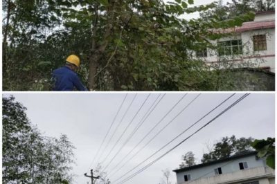 對10千伏禾臘線消水坨臺區(qū)、石家寨臺區(qū)進行巡視