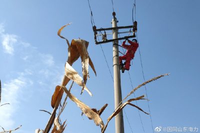 對10千伏春興線海防支線進行清掃、檢修