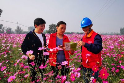 對玉山店村百畝格桑花所在線路進(jìn)行全方位的巡視排查