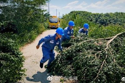 對轄區(qū)內(nèi)配網(wǎng)線路進(jìn)行特殊巡視