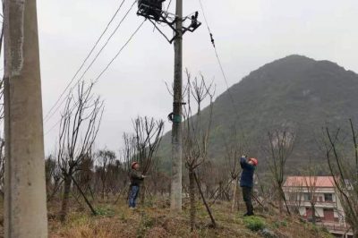 農(nóng)電檢修人員對小石線、高石線等10千伏線路進行集中巡視測溫